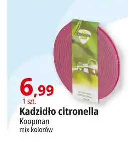 E.Leclerc Kadzidło Citronella oferta