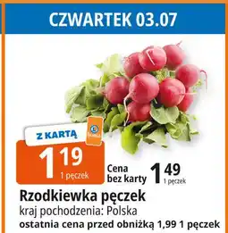 E.Leclerc Rzodkiewka oferta