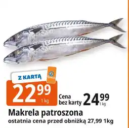 E.Leclerc Makrela patroszona oferta