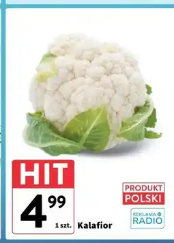 Intermarche Kalafior Hit oferta