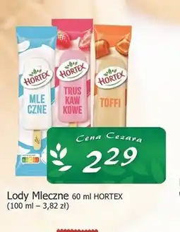 Cezar Delikatesy Lody Hortex oferta