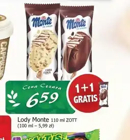 Cezar Delikatesy Lody Zott oferta