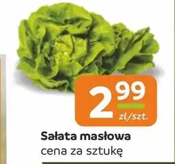 Społem Sałata masłowa oferta