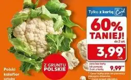 Kaufland Kalafior oferta
