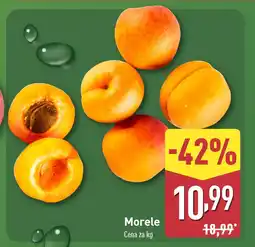 ALDI Morele Aldi oferta