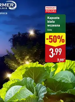 ALDI Kapusta biała wczesna Produkt Polski oferta