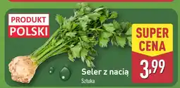 ALDI Seler z nacią Aldi oferta