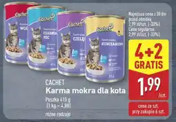 ALDI Cachet Karma mokra dla kota oferta