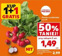 Kaufland Polska rzodkiewka pęczek oferta