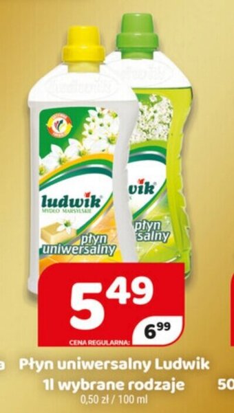 Delfin Płyn uniwersalny Ludwik 1l oferta
