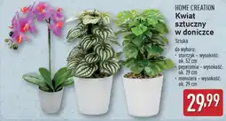 ALDI HOME CREATION Kwiat sztuczny oferta