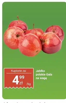 Biedronka Jabłko polskie Gala na wagę Biedronka oferta