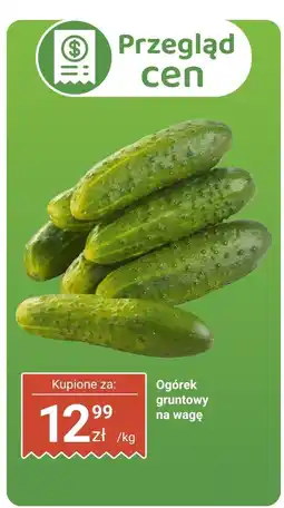 Biedronka Ogórek gruntowy Biedronka oferta