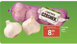 Biedronka Czosnek Warzywniak oferta