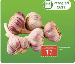 Biedronka Czosnek młody Biedronka oferta