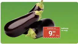 Biedronka Bakłażan Biedronka oferta