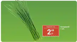 Biedronka Szczypiorek Biedronka oferta