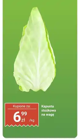 Biedronka Kapusta stożkowa Biedronka oferta