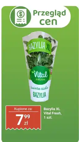 Biedronka Bazylia XL Vital Fresh oferta