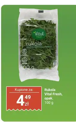 Biedronka Sałata Rukola Vital Fresh oferta