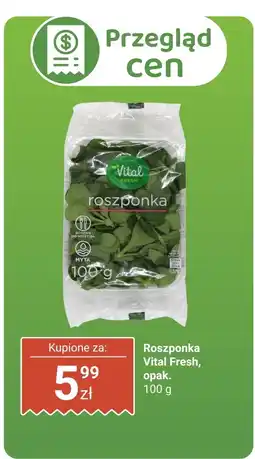 Biedronka Sałata Roszponka Vital Fresh oferta
