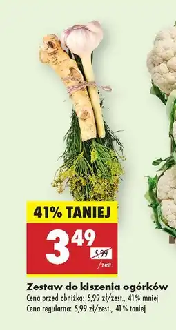 Biedronka Zestaw do kiszenia ogórków Biedronka oferta