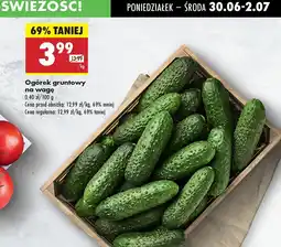 Biedronka Ogórek gruntowy Biedronka oferta