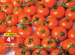 Biedronka Pomidor koktajlowy gałązka Biedronka oferta