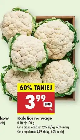 Biedronka Kalafior Biedronka oferta