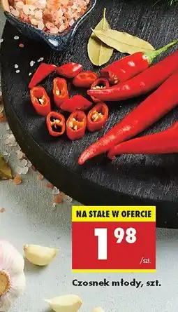 Biedronka Czosnek młody Biedronka oferta