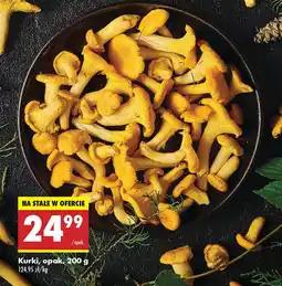 Biedronka Kurki Biedronka oferta