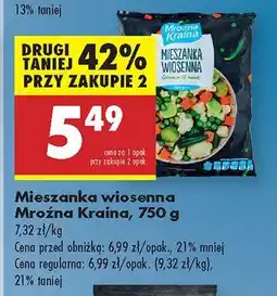 Biedronka Mieszanka wiosenna Mroźna Kraina oferta