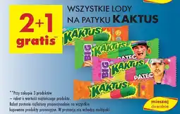 Biedronka Lody Kaktus oferta