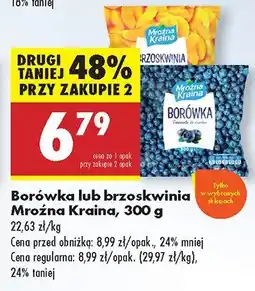 Biedronka Borówka lub brzoskwinia Mroźna Kraina oferta