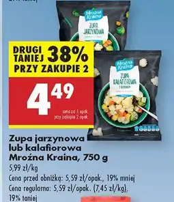 Biedronka Zupa jarzynowa lub kalafiorowa Mroźna Kraina oferta