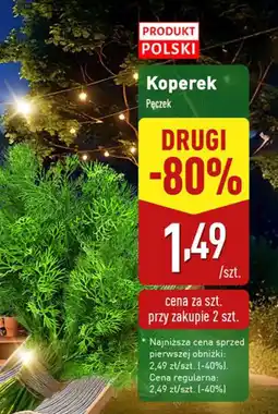 ALDI Koperek Produkt Polski oferta