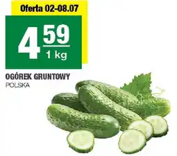 Spar Ogórek gruntowy POLSKA oferta