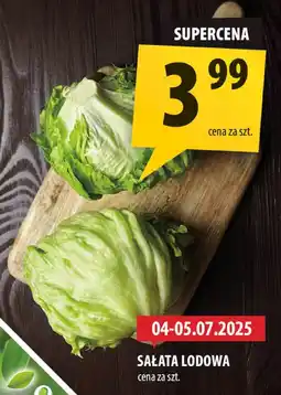 Arhelan Sałata lodowa Arhelan oferta