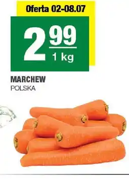 Spar Marchew POLSKA oferta
