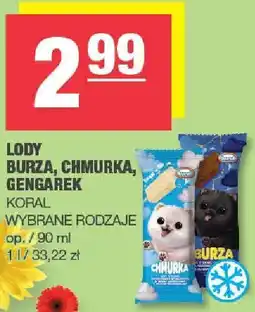 Spar Lody Burza, Chmurka, Gengarek Koral oferta