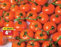 Biedronka Pomidor koktajlowy gałązka opak 400 g oferta