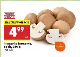 Biedronka Pieczarka brunatna, opak. 250 g oferta