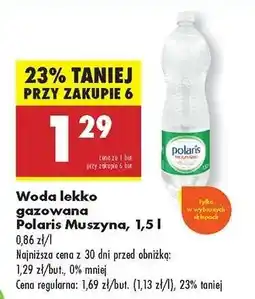 Biedronka Woda lekko gazowana Polaris Muszyna, 1,5 l oferta