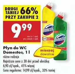 Biedronka Płyn do WC Domestos 1 l oferta