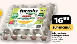 Netto Jaja z wolnego wybiegu Farmio oferta