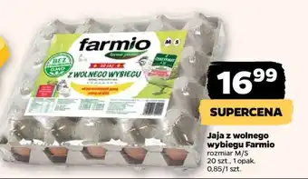 Netto Jaja z wolnego wybiegu Farmio oferta