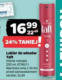 Netto Lakier do włosów TAFT oferta
