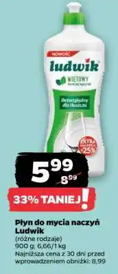 Netto Płyn do mycia naczyń Ludwik oferta