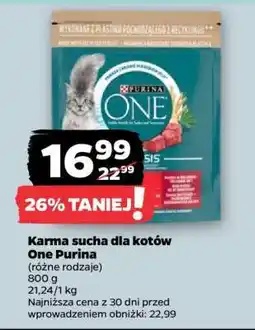Netto Karma sucha dla kotów One Purina oferta