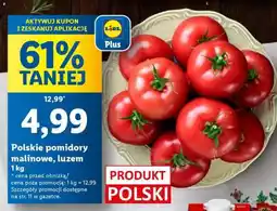 Lidl Polskie pomidory malinowe, luzem 1 kg oferta